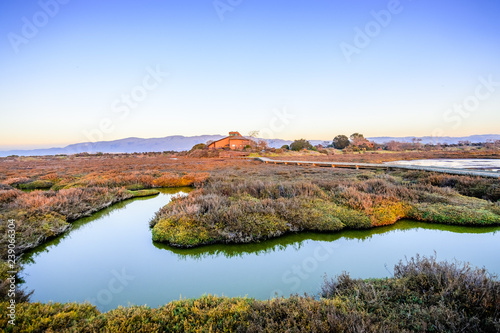 Sunset view of vegetation and tidal marsh in Alviso, Don Edwards San Francisco Bay National Wildlife Refuge, San Jose, California photo