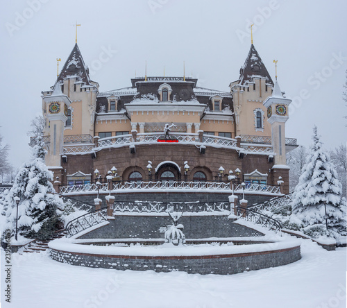 Fairy tale castle in winter