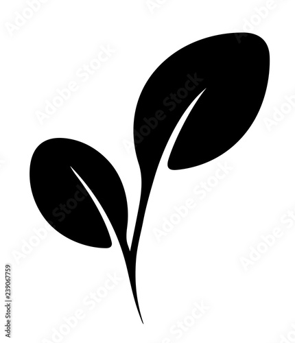 Vector flat tea leaf. Vegan food stylize element. Springtime logo design..