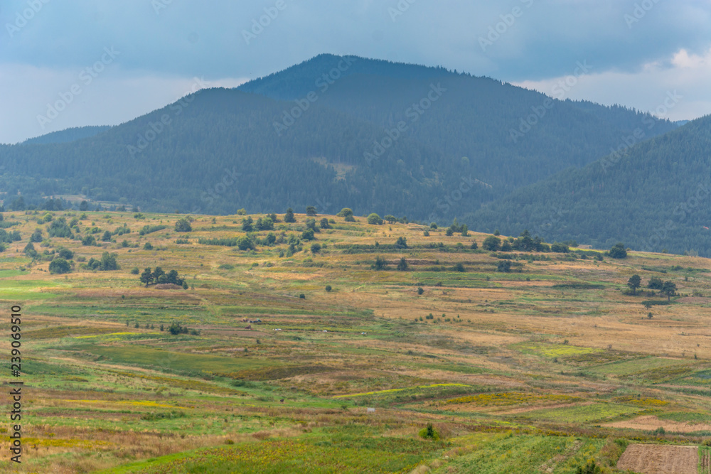 Obraz premium mountain in Ravnogor