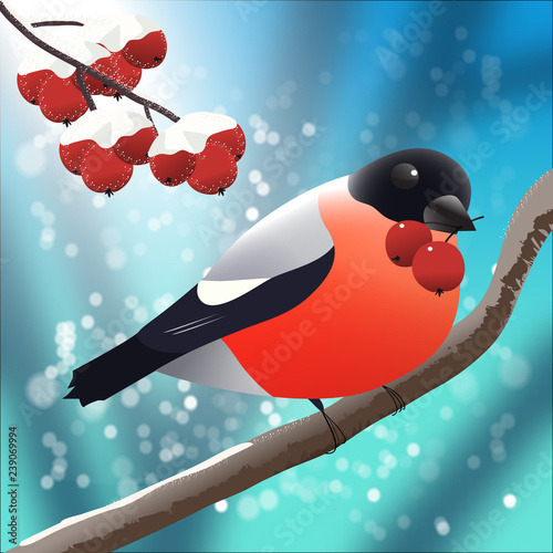 bullfinch on a branch in a snowy forest