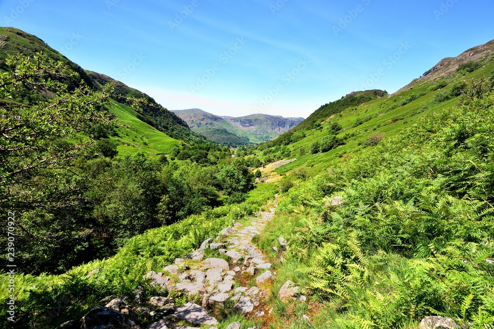 The footpath in to Borrowdale The footpath in to Borrowdale
