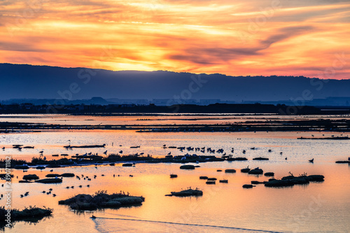 Sunset views of the tidal marshes of Alviso  Don Edwards San Francisco Bay National Wildlife Refuge  San Jose  California
