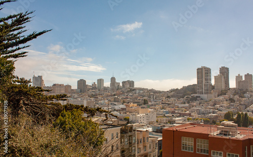Close View on San Fransisco Skyline