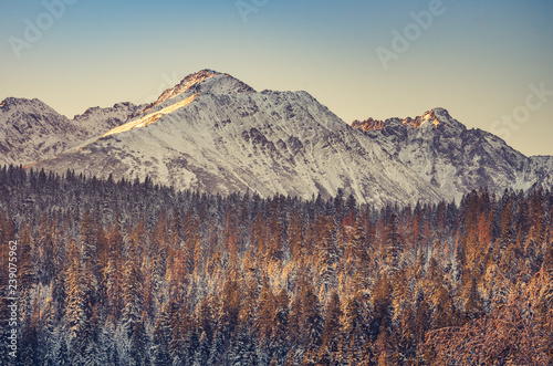 Fototapeta Naklejka Na Ścianę i Meble -  Tatra mountains landscape, winter sunrise panorama