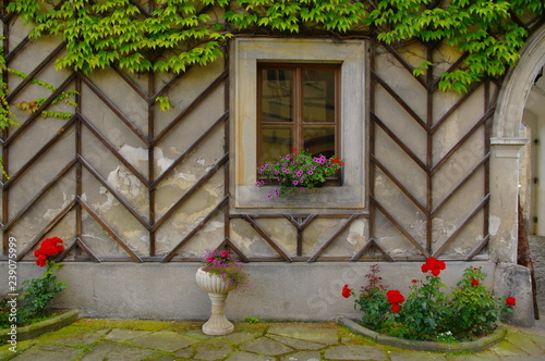 window with red flowers