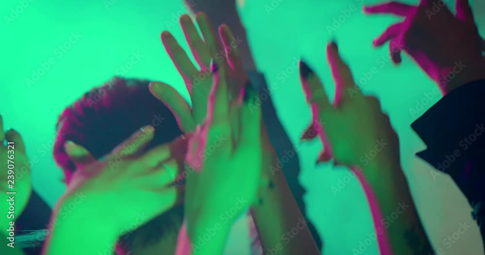 Hands at a Party/Put your hands in the air! Friends having fun at a party or concert, a festival