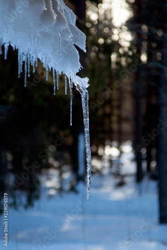 icicles on the roof