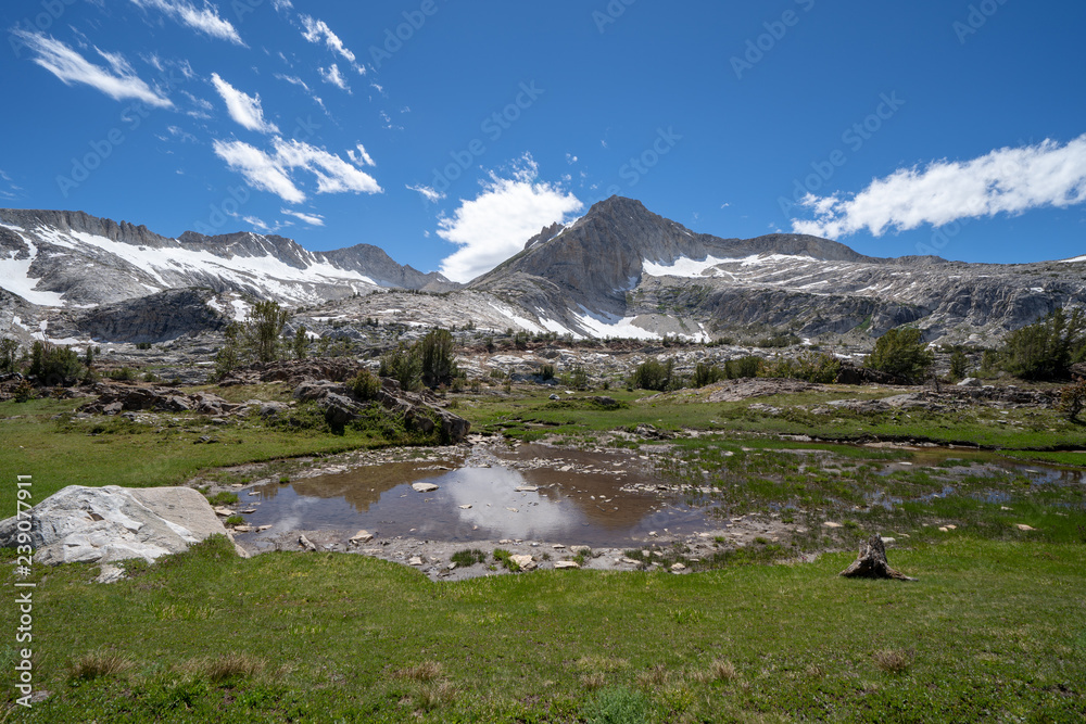 Beautiful lush greenery and pond along the 20 Lakes Basin hiking trail in California Eastern Sierra Nevada mountains