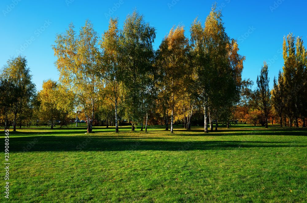 Dramatic autumn park landscape background
