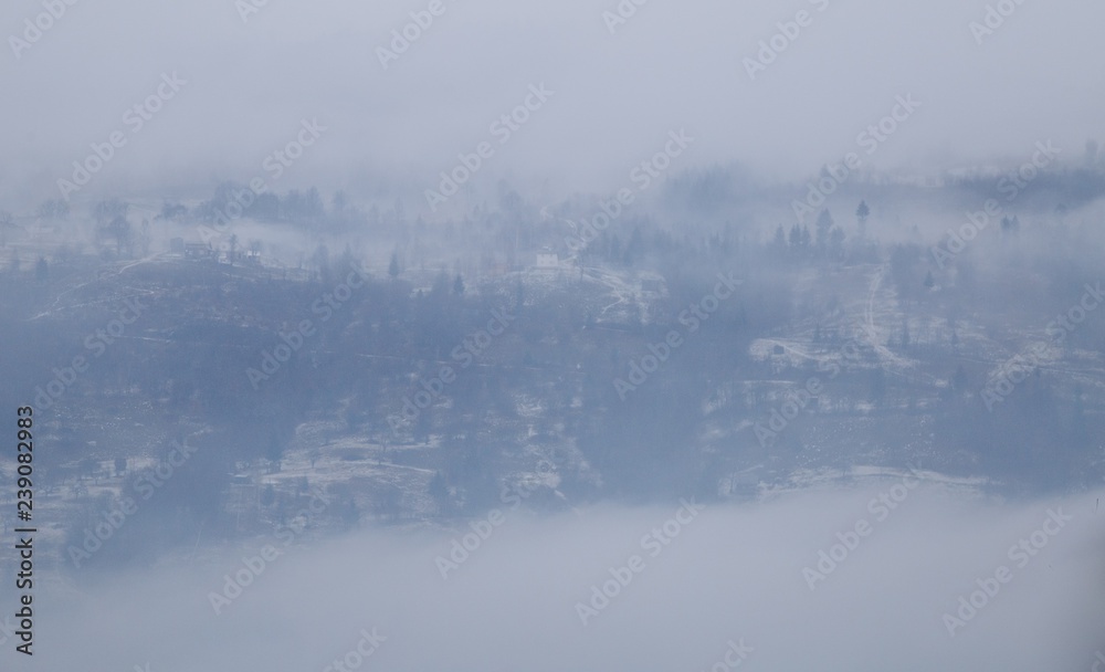 Fototapeta premium Foggy village Bohdan in the Carpathians