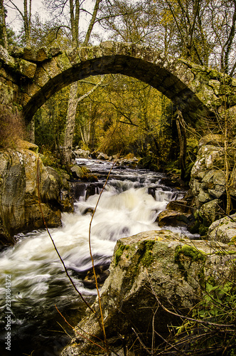 waterfall in the forest