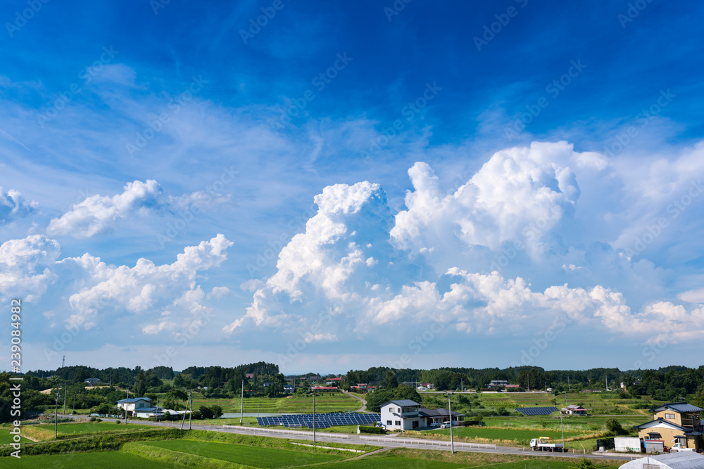 田舎の夏空の入道雲 Stock 写真 Adobe Stock