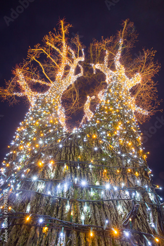 Decorated illuminating tree
