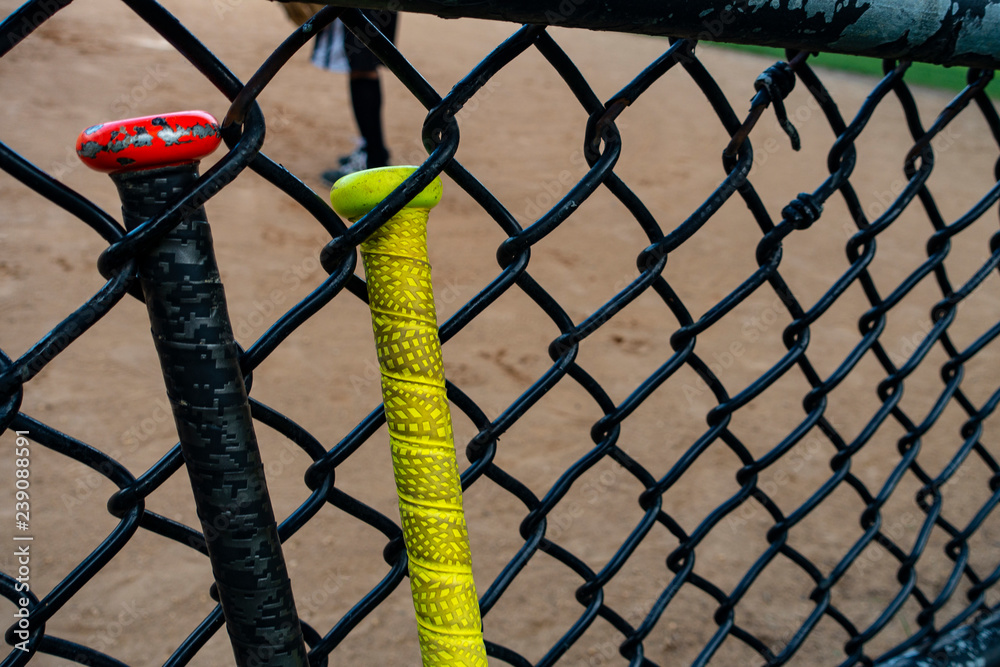 baseball / softball bats on a batting fence baseball / softball bats on a batting fence