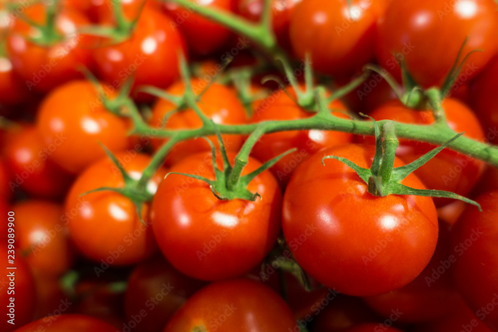 close up of cluster of green vine red tomatos at the super market close up of cluster of green vine red tomatos at the super market