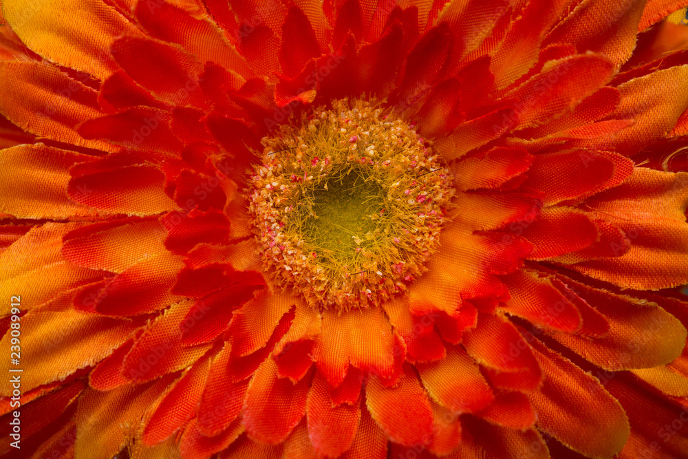 Fake not real man made, colored fabric flower Fake not real man made, colored fabric flower