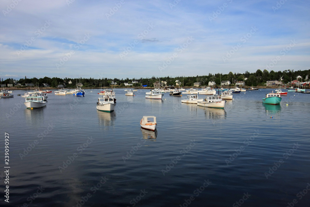 Lobster boats of Bass Harbor, Maine, at anchor in the harbor on a quiet summer afternoon.