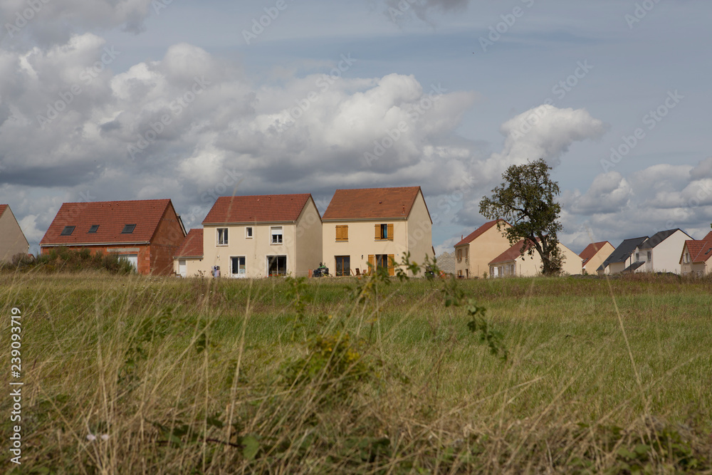 Houses landscape