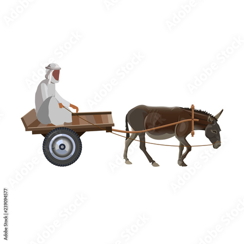 Man with donkey cart
