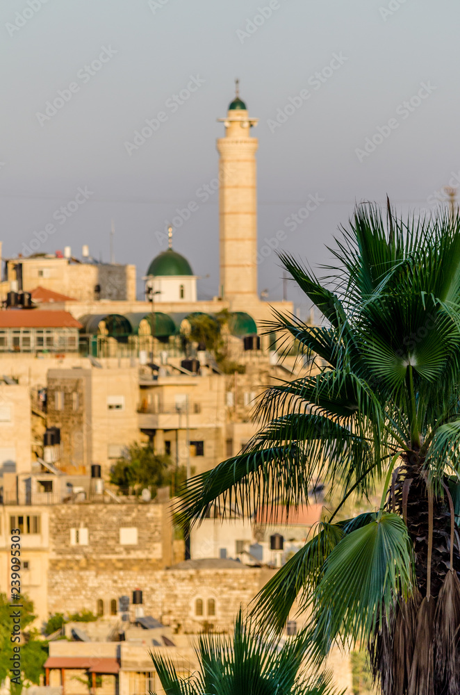 View of a minaret and Arab homes in East Jerusalem through palm trees on the Davidson Center’s southern steps, Jerusalem, Israel