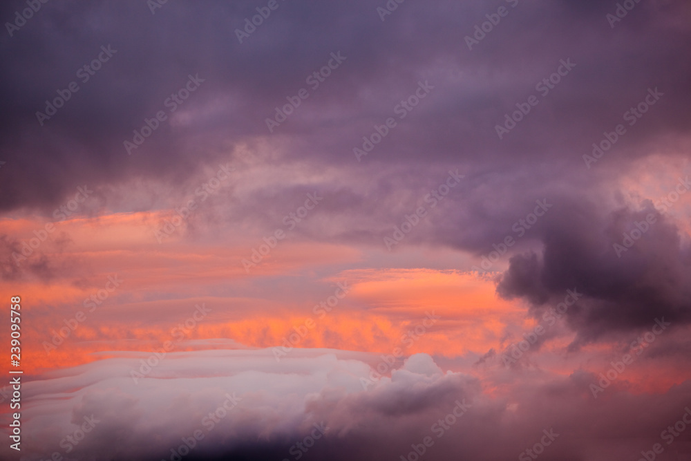 夕日に染まる雲