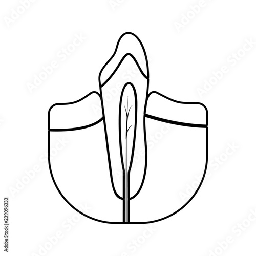 dental root icon. Element of Dental for mobile concept and web apps icon. Thin line icon for website design and development, app development