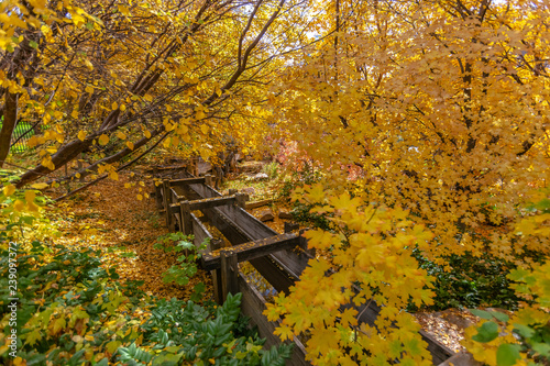 Wooden water transport aqueduct park in Salt Lake photo