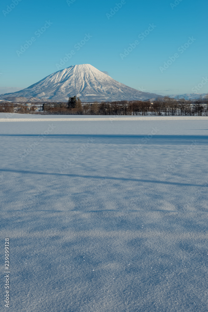 冬の羊蹄山