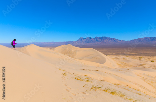 A female hiker makes descent on a trail to the bottom of the dunes in Mojave Preserve on a windy morning. Blowing strong wind erased the trail tracks in sand dunes of Mojave Desert.