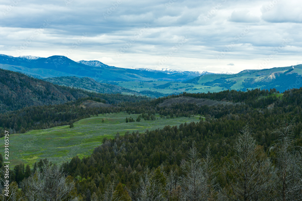 Scenic View Scenic View