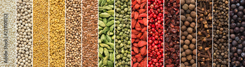  set of spices and herbs for Indian cuisine. colorful seasoning background for design food packaging. © dmitr1ch