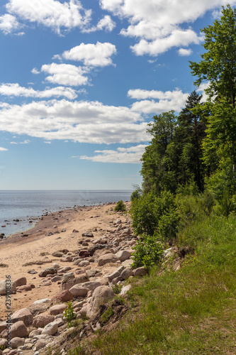 summer landscape by the sea