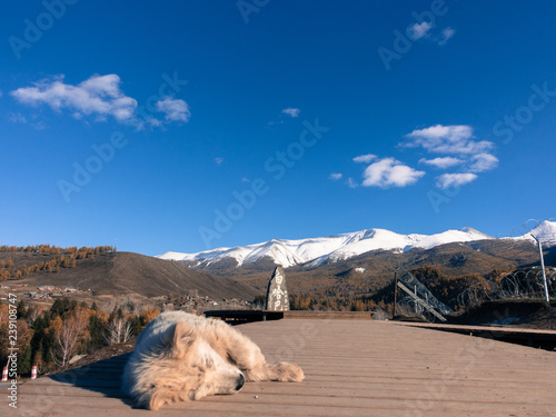 Baihaba, Northern Xinjiang photo