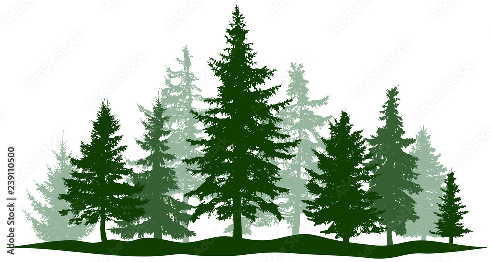 Forest trees green fir tree forests pine Vector Image