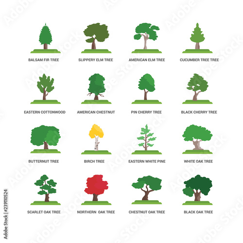 Simple Set of 16 Vector Icon. Contains such Icons as Cucumber Tree tree, Chestnut Oak Northern  Scarlet Eastern Cottonwood tree. Editable Stroke pixel perfect