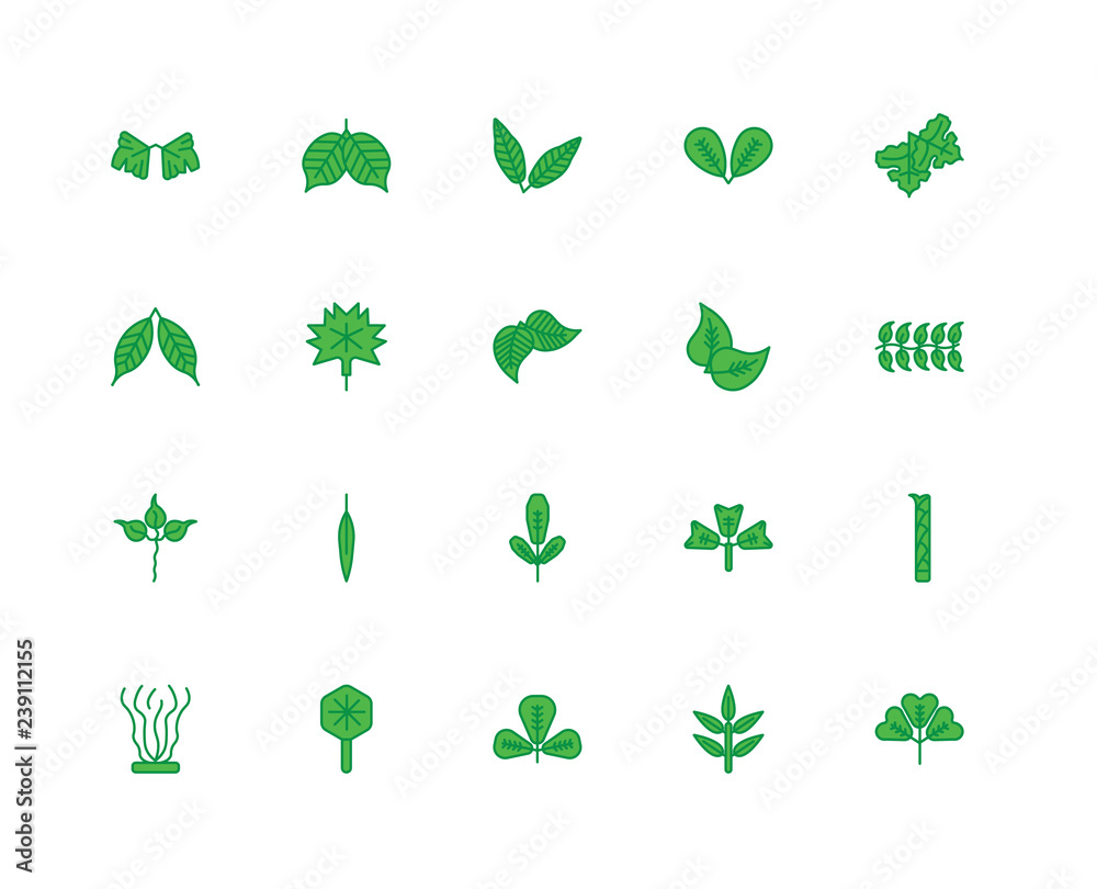 Set Of 20 icons such as Trifoliate Ternate, Subulate, Obovate, O Set Of 20 icons such as Trifoliate Ternate, Subulate, Obovate, O