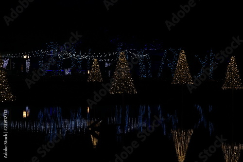 christmas tree winter lights