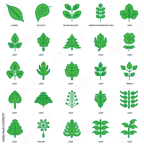 Set Of 25 icons such as Leaf, Pollen, Black Willow, Elliptic icon