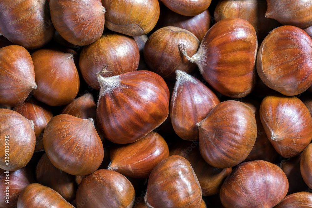 Pile of raw edible chestnuts, background, close-up, top view Pile of raw edible chestnuts, background, close-up, top view