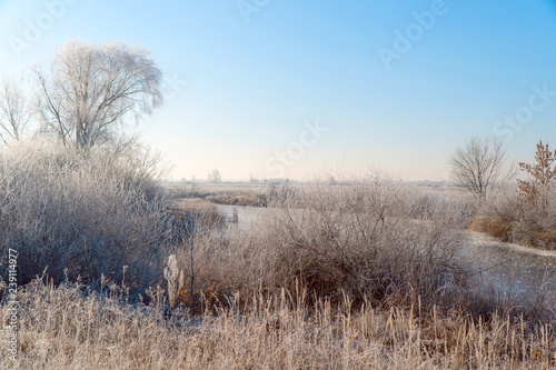 Meadows, bushes and trees covered with frost. Fabulous Winter landscape