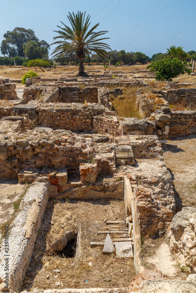 Fototapeta premium Ruins of the ancient town Pupput, Tunisia