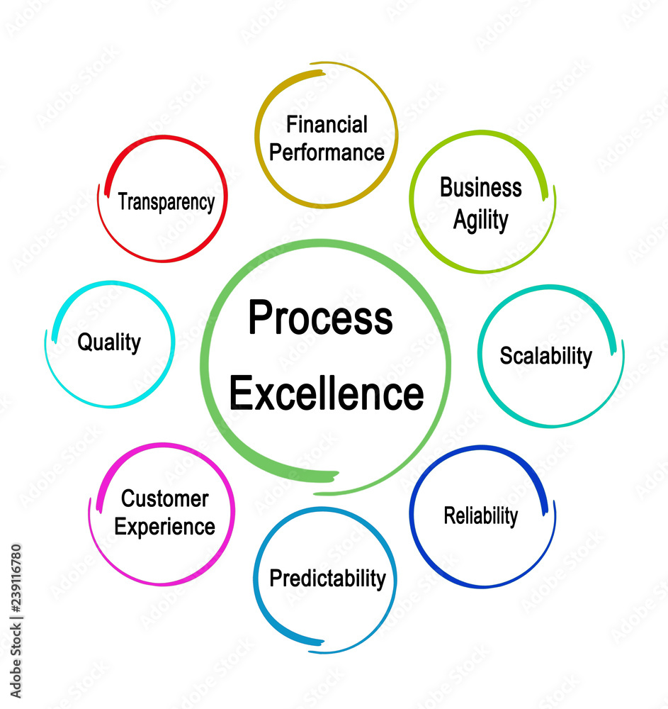 Drivres of  Process Excellence