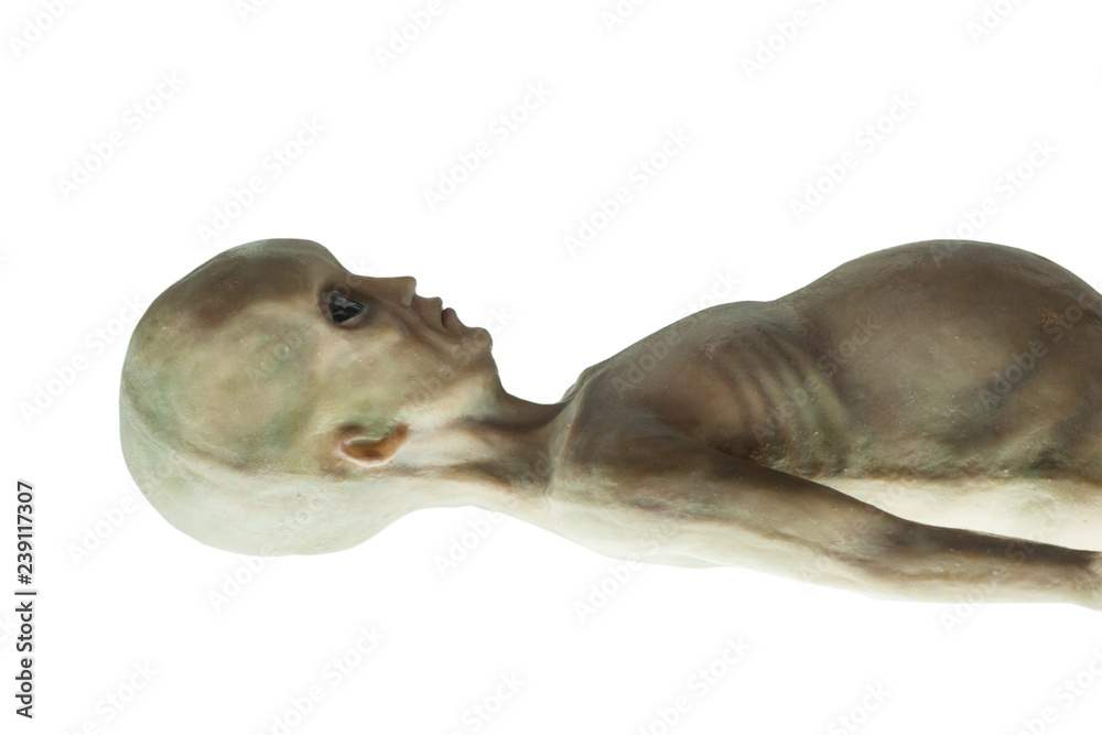 Obraz premium Dead humanoid alien