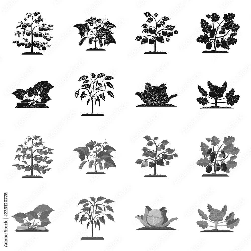 Fototapeta premium Isolated object of greenhouse and plant logo. Collection of greenhouse and garden stock symbol for web.