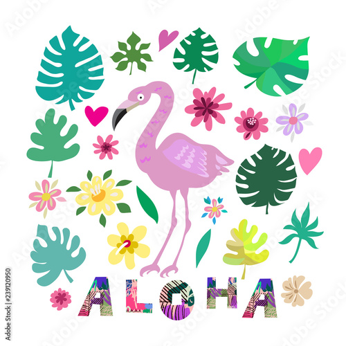 Aloha5