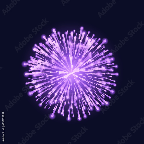 Firework isolated. Beautiful purple firework on dark sky background. Vector illustration