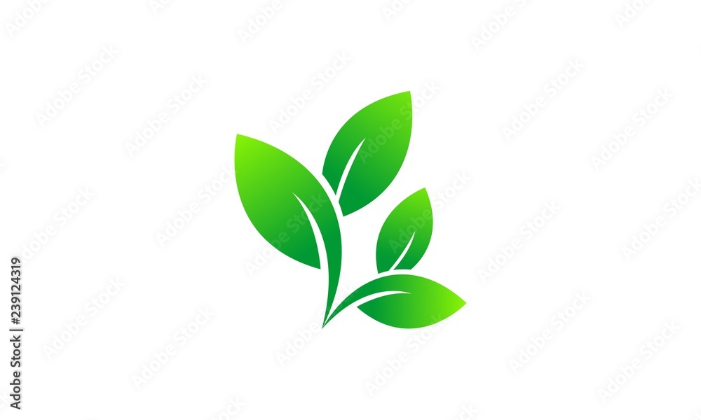 Leaf vector logo Leaf vector logo