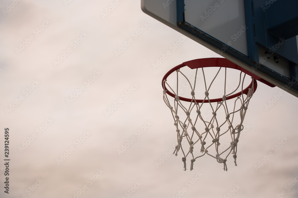 basketball hoop with net