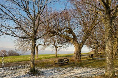 Lörrach. Tüllinger Höhe. Lindenplatz. Ausblick auf das Dreiländereck photo